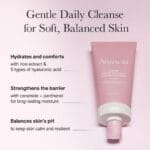 Arencia Rosehip Mild PH Balancing Rice Cake Cleanser 150g - Image 3