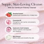 Arencia Rosehip Mild PH Balancing Rice Cake Cleanser 150g - Image 4